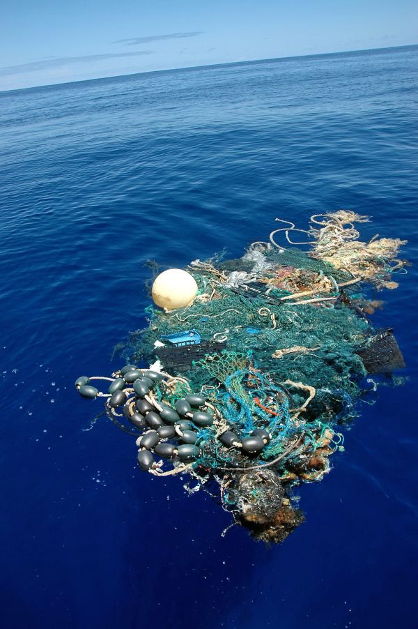 Rifiuti nel Mar di Toscana: plastica all’orizzonte! Rifiuti in mare - Protectaweb